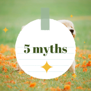 5 Myths About Dog Poop Debunked